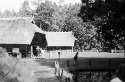 WhatsApp Image 2024 06 20 at 11.07.09 3