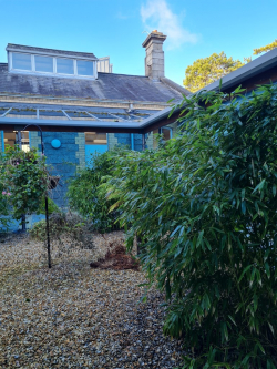 20220210 123343 Medium2