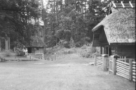 WhatsApp Image 2024 06 20 at 11.07.09 6