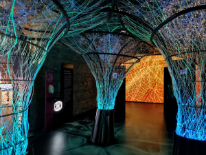 20220210 141658 Medium2