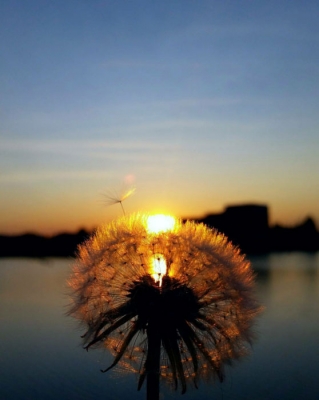 SetHeight700 MajigapieneneAliseKirjuhina11b2