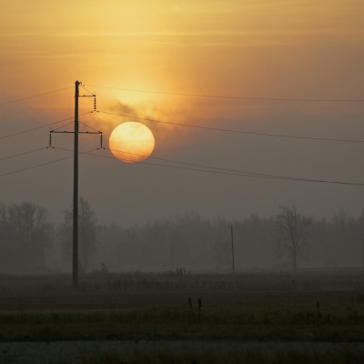 SetHeight700 volkova alisa 12.b 1