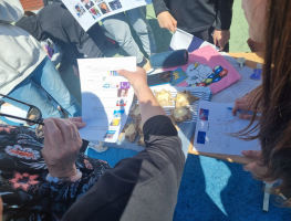 9. maijā Bauskas 2.vidusskolas pasākums “Cilvēktiesības Eiropas Savienībā” 
